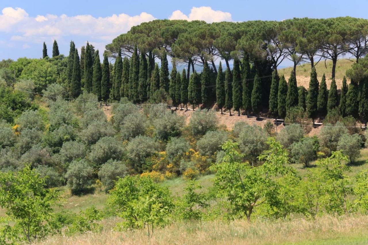 Villa Armena Relais Buonconvento Exterior foto