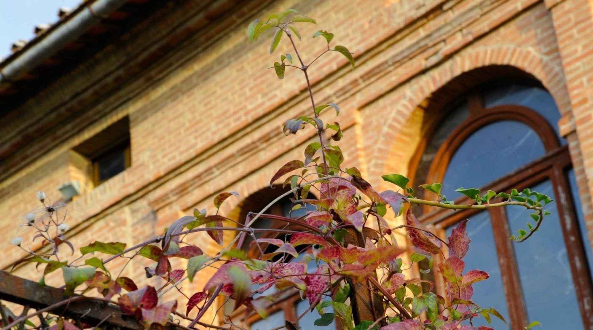 Villa Armena Relais Buonconvento Exterior foto